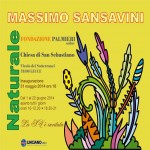 Massimo Sansavini